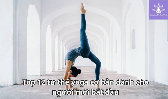 Top 12 tư thế yoga cơ bản dành cho người mới bắt đầu