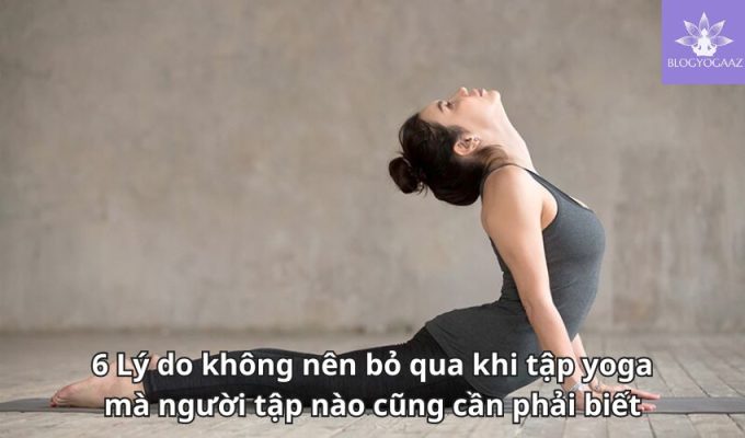 6 Lý do không nên bỏ qua khi tập yoga mà người tập nào cũng cần phải biết