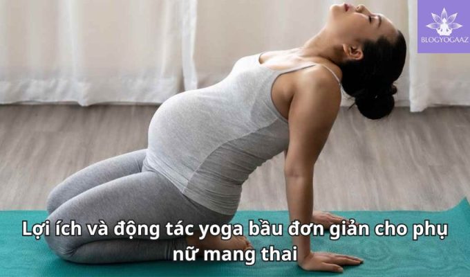 Lợi ích và động tác yoga bầu đơn giản cho phụ nữ mang thai