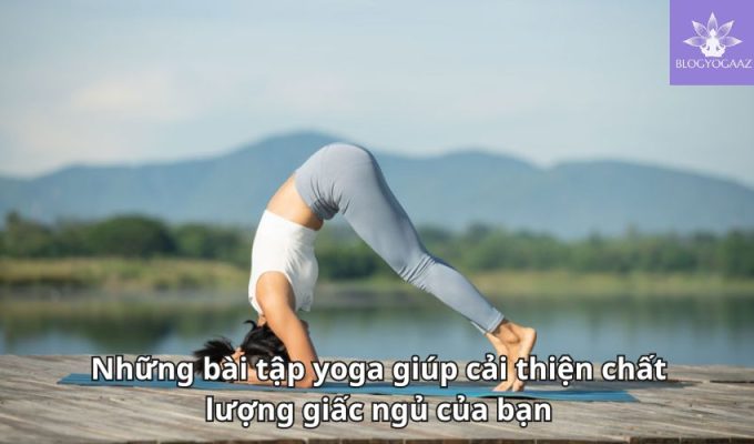 Những bài tập yoga giúp cải thiện chất lượng giấc ngủ của bạn