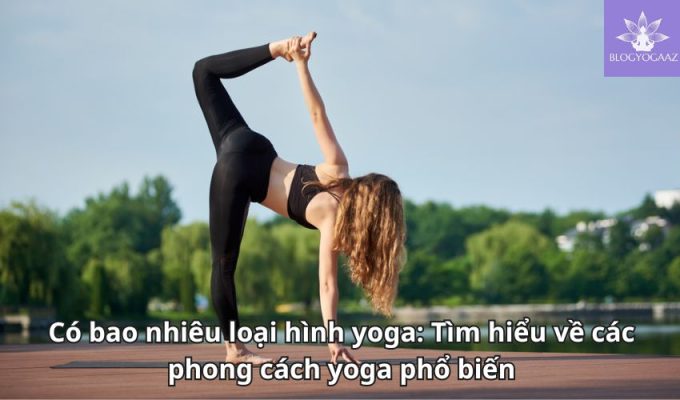 Có bao nhiêu loại hình yoga: Tìm hiểu về các phong cách yoga phổ biến