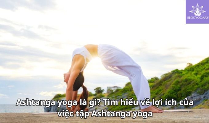 Ashtanga yoga là gì? Tìm hiểu về lợi ích của việc tập Ashtanga yoga